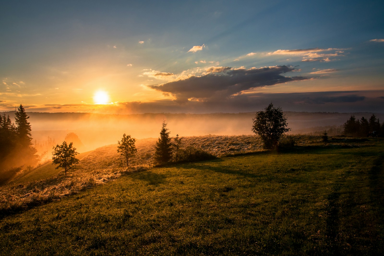Warm morning light moving across a mist-filled landscape
